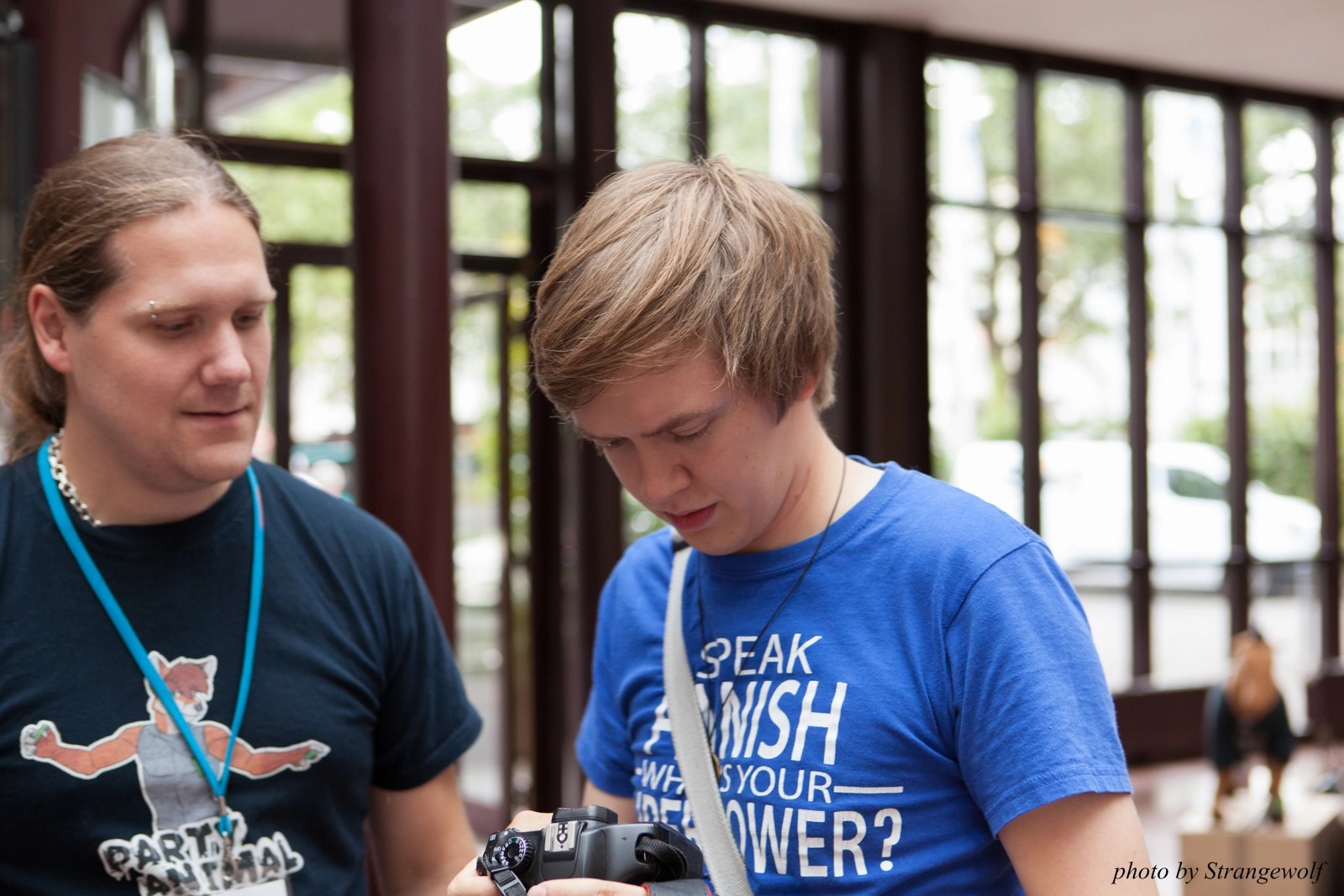 full image IMG_8586-lr16t.jpg