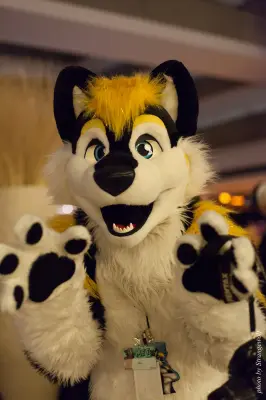 IMG_5339-lr16t.jpg of MFF/MFF2015/