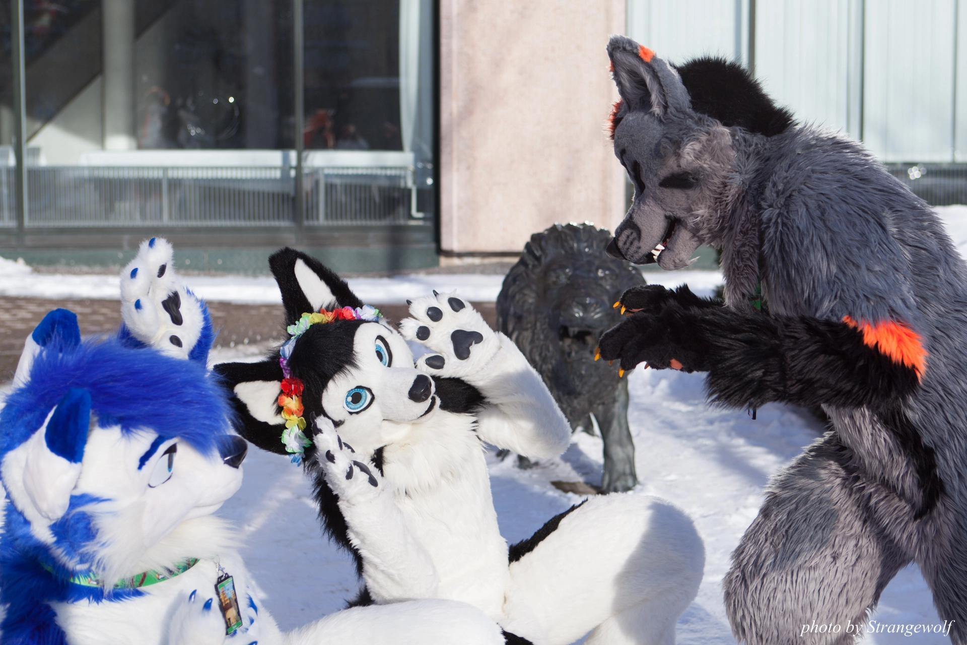 full image IMG_0105-lr19t.jpg