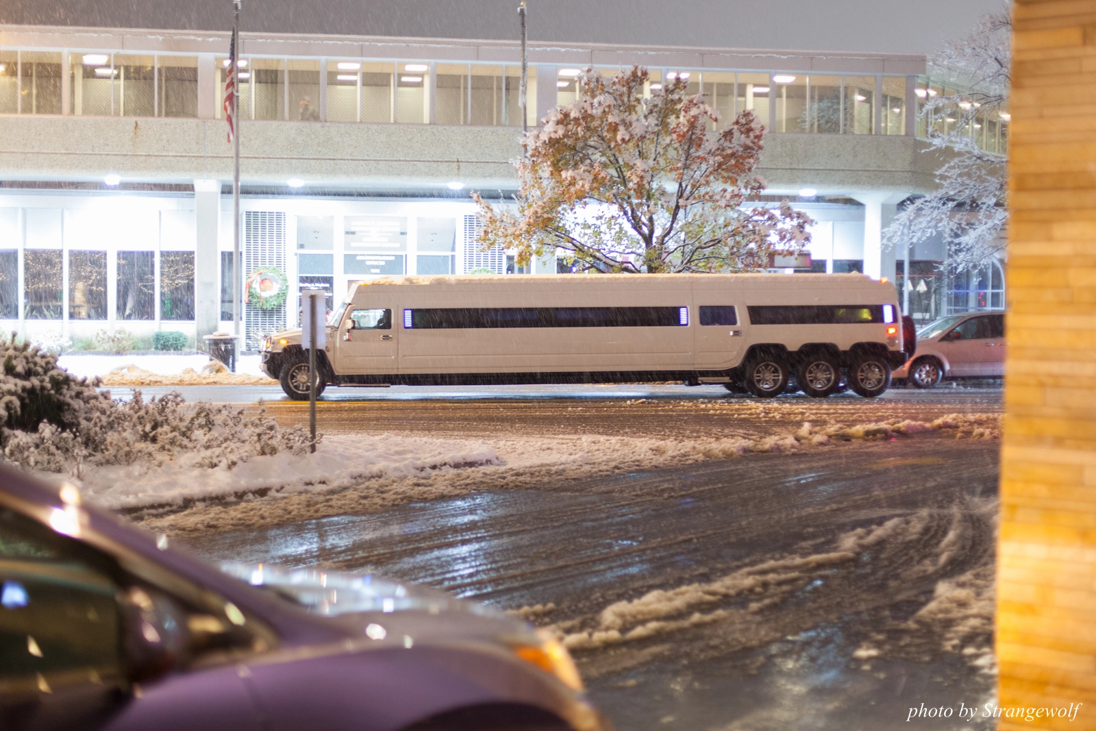 full image IMG_0861-lr16t.jpg