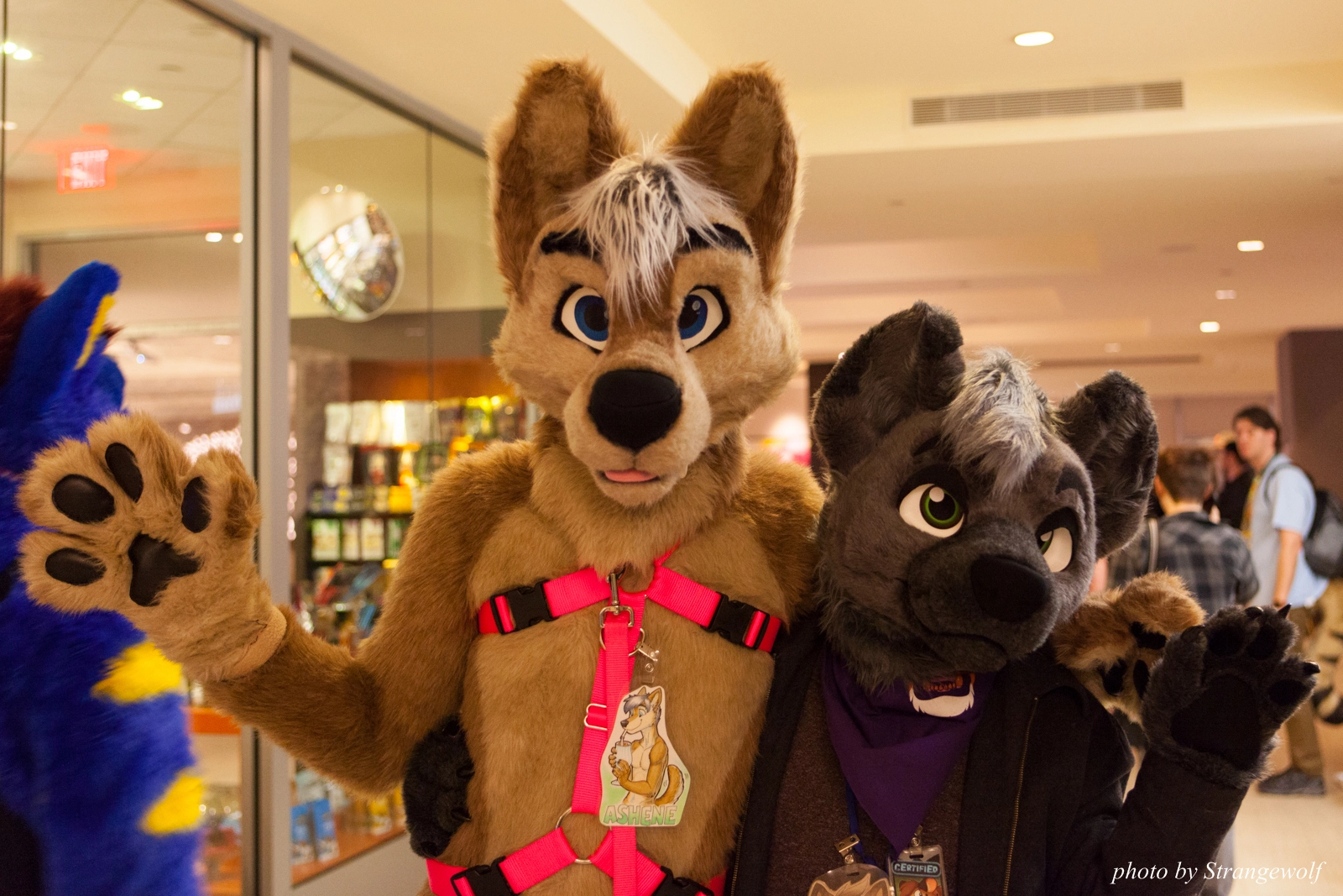 full image IMG_1290-lr16t.jpg