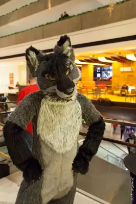 IMG_6837-lr19t.jpg of MFF/MFF2018/
