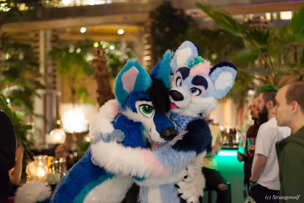 IMG_9747-lr19t.jpg of NFC/NFC2019/