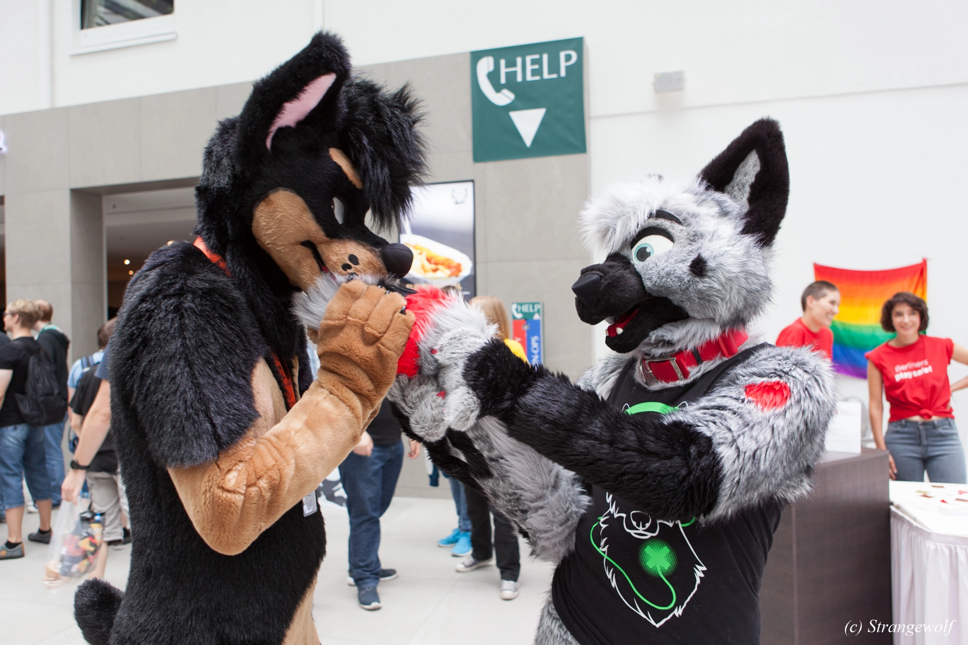 full image IMG_5333-lr19t.jpg