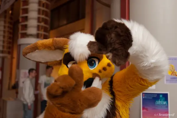 IMG_8925-lr19t.jpg of NFC/NFC2019/