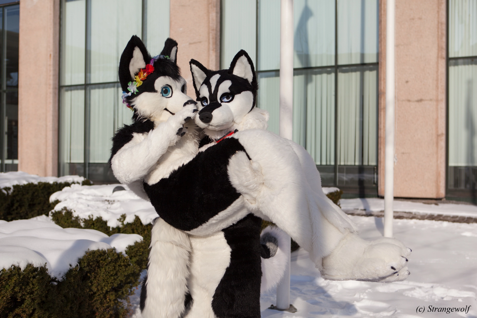 full image IMG_9896-lr19t.jpg