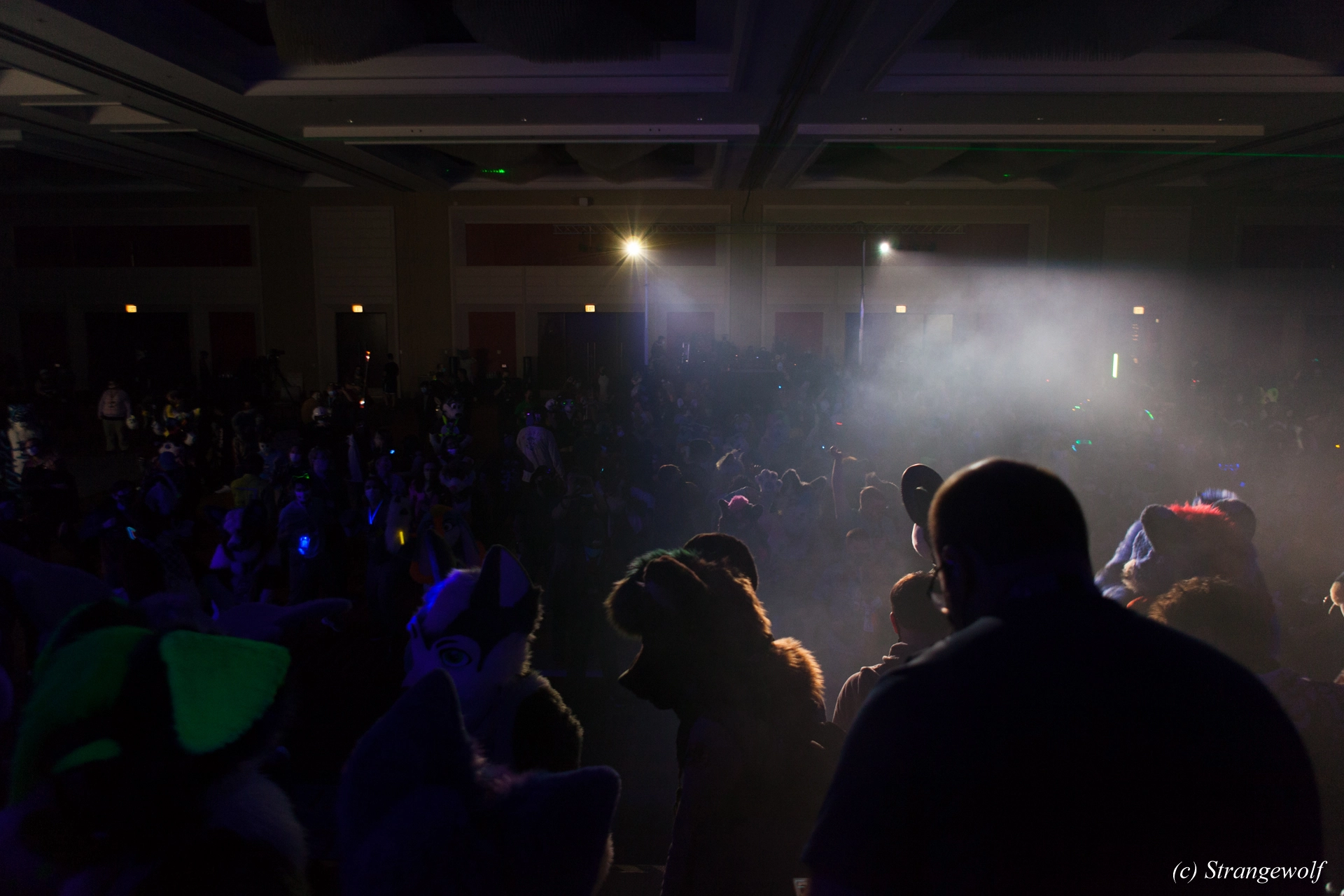 full image IMG_1401-lr19t.jpg