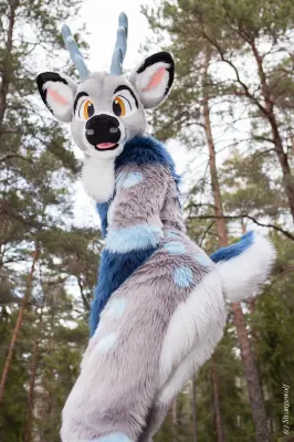 IMG_8634-lr19t.jpg of NFC/NFC2019/Shoot-Strife_Carlito/