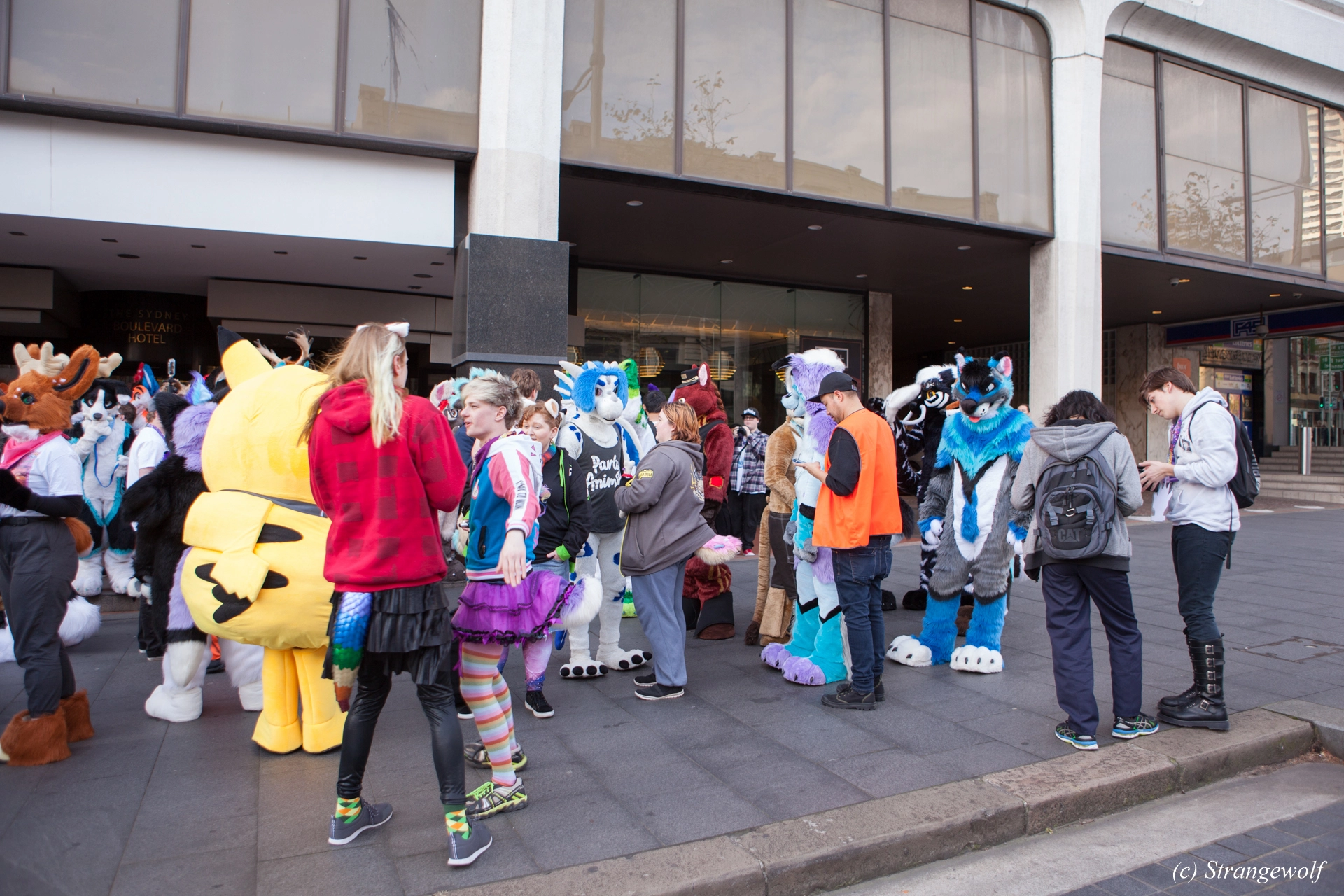 full image IMG_4568-lr19t.jpg