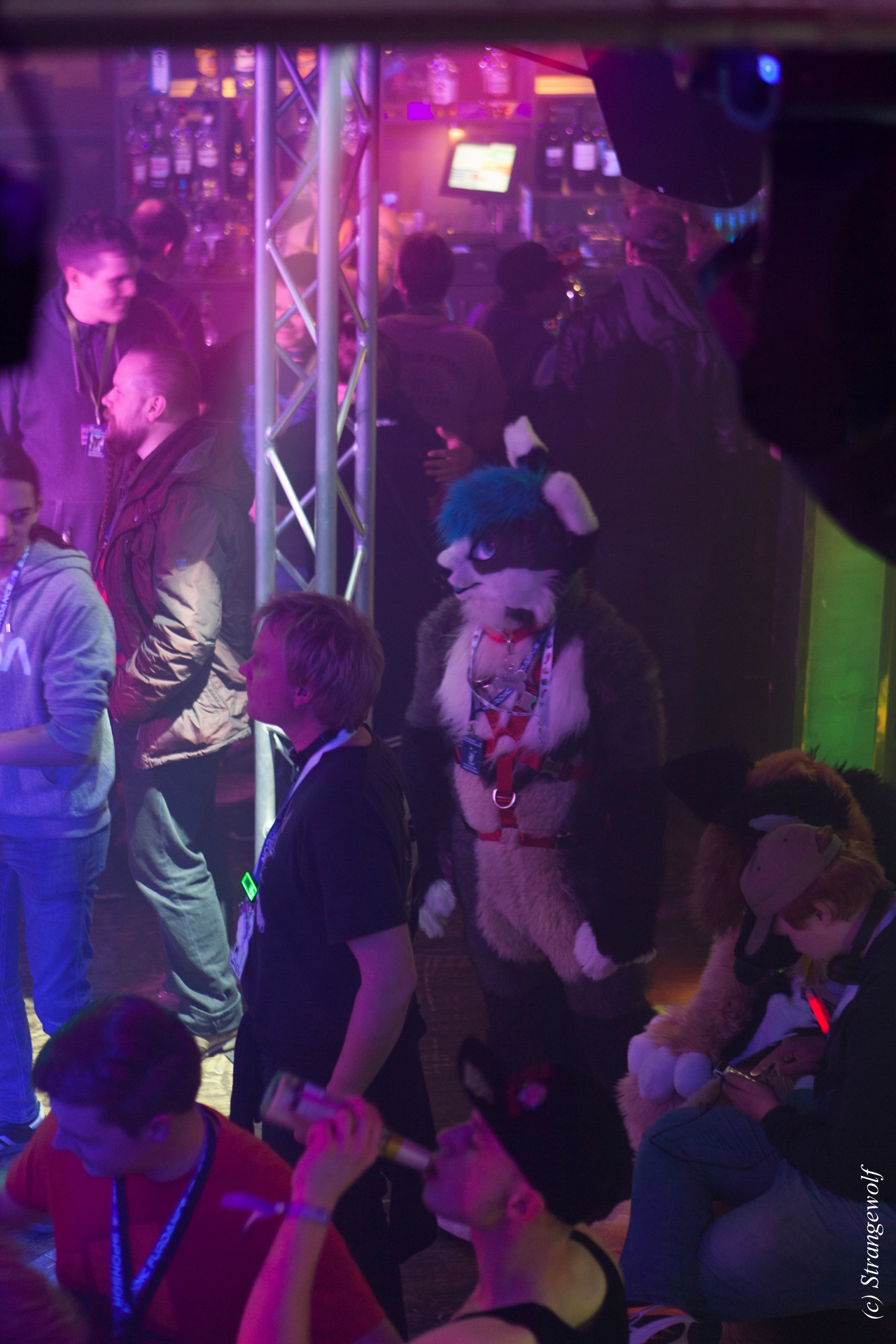 full image IMG_0788-lr19t.jpg