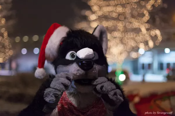 IMG_0824-lr16t.jpg of MFF/MFF2016/