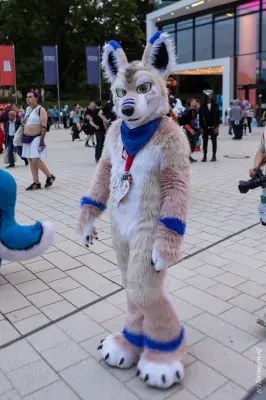 1R3A9189-lr19t.jpg of EF/EF29/