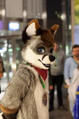 IMG_9293-lr19t.jpg of NFC/NFC2018/