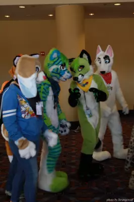 IMG_0526-lr.jpg of MFF/MFF2013/