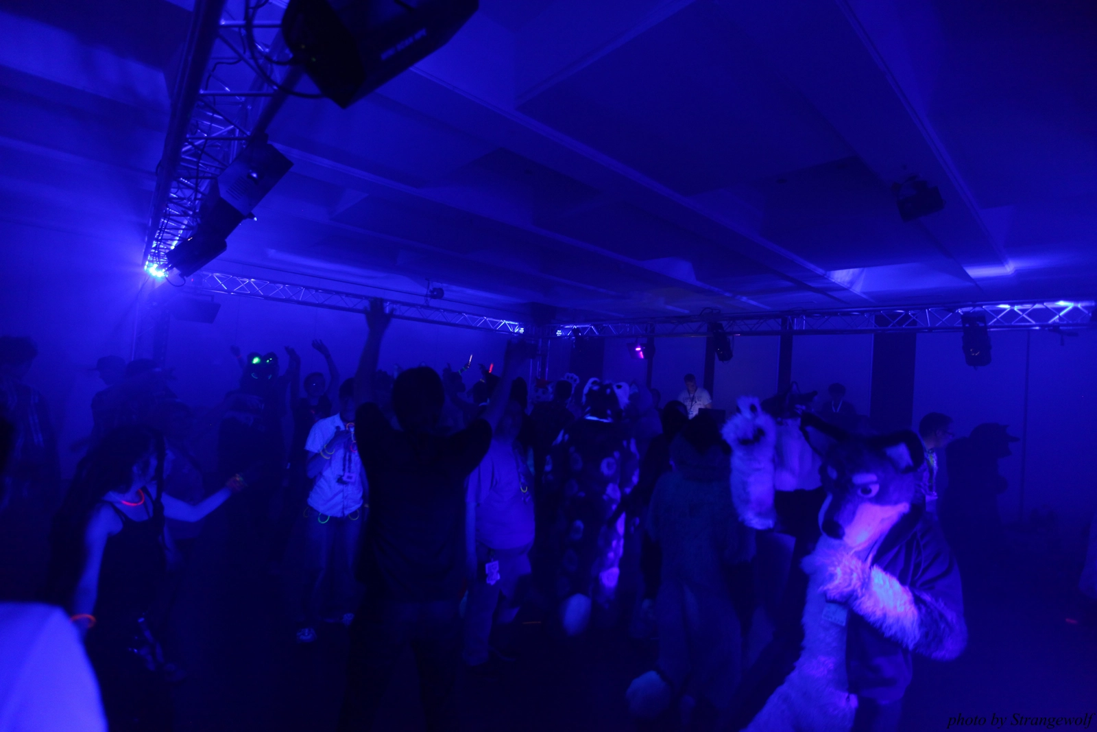 full image IMG_7628-lr16t.jpg