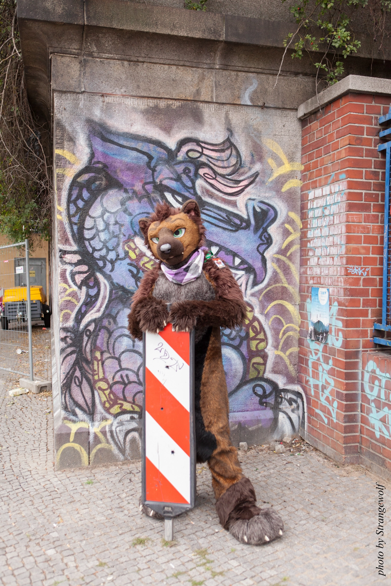 full image IMG_6790-lr19t.jpg