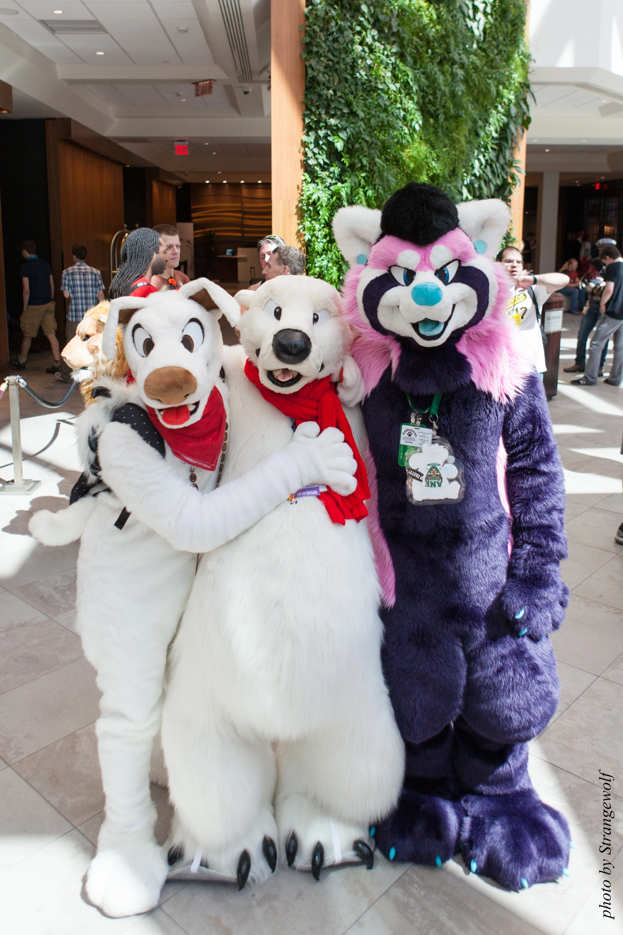 full image IMG_4869-lr19t.jpg