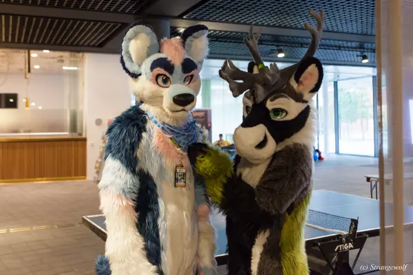 IMG_8542-lr19t.jpg of NFC/NFC2020/