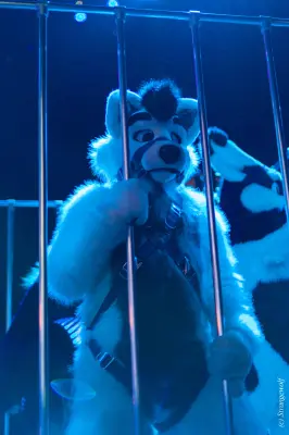 IMG_9224-lr19t.jpg of NFC/NFC2020/