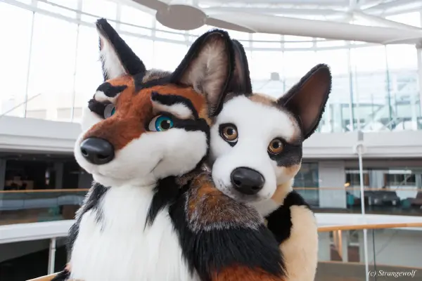 IMG_0472-lr19t.jpg of NFC/NFC2018/