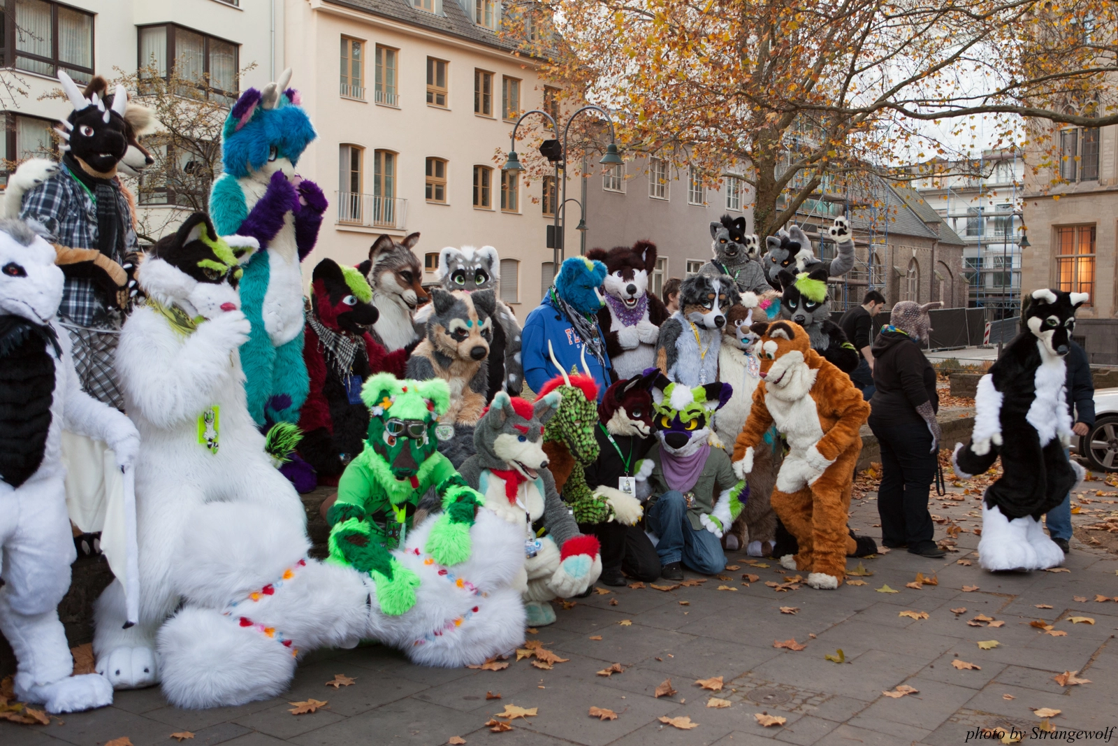 full image IMG_5296-lr16t.jpg