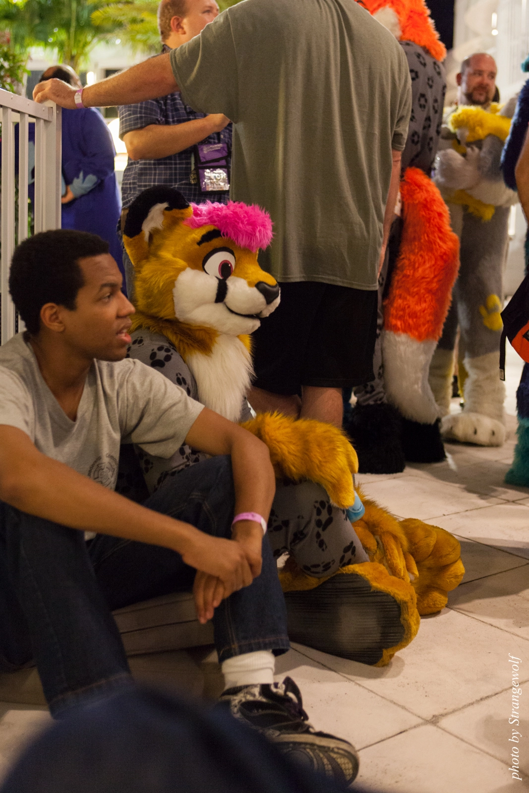 full image IMG_8063-lr16t.jpg