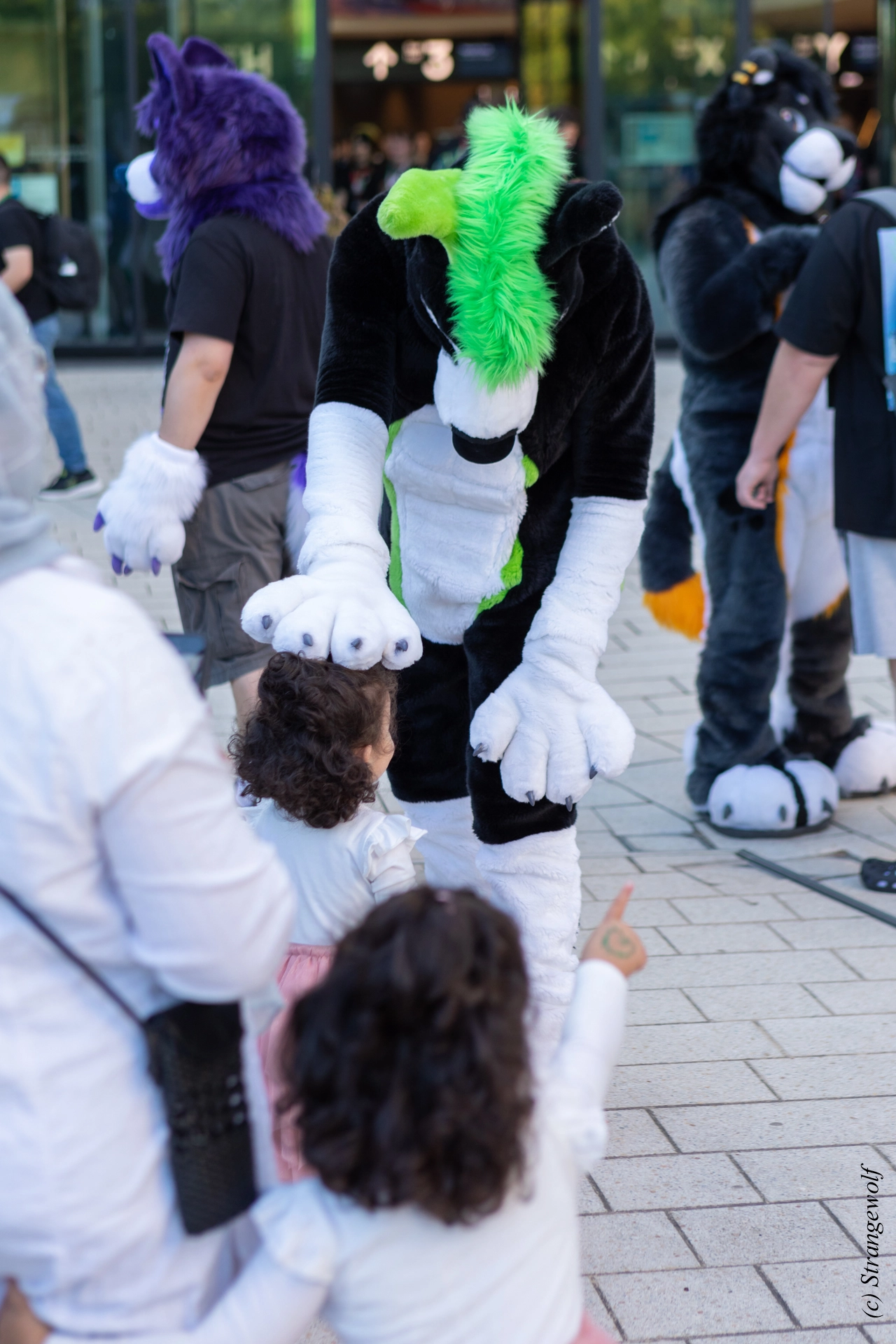 full image 1R3A9326-lr19t.jpg