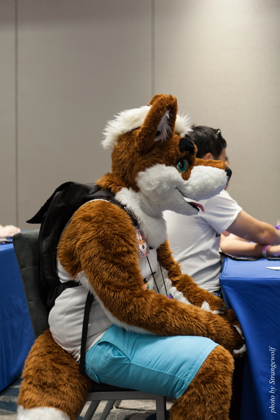 full image IMG_8199-lr16t.jpg