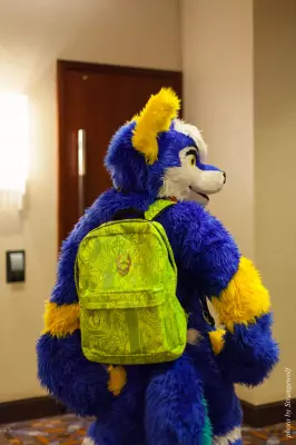 IMG_0872-lr16t.jpg of MFF/MFF2016/Photoshoot-USH/
