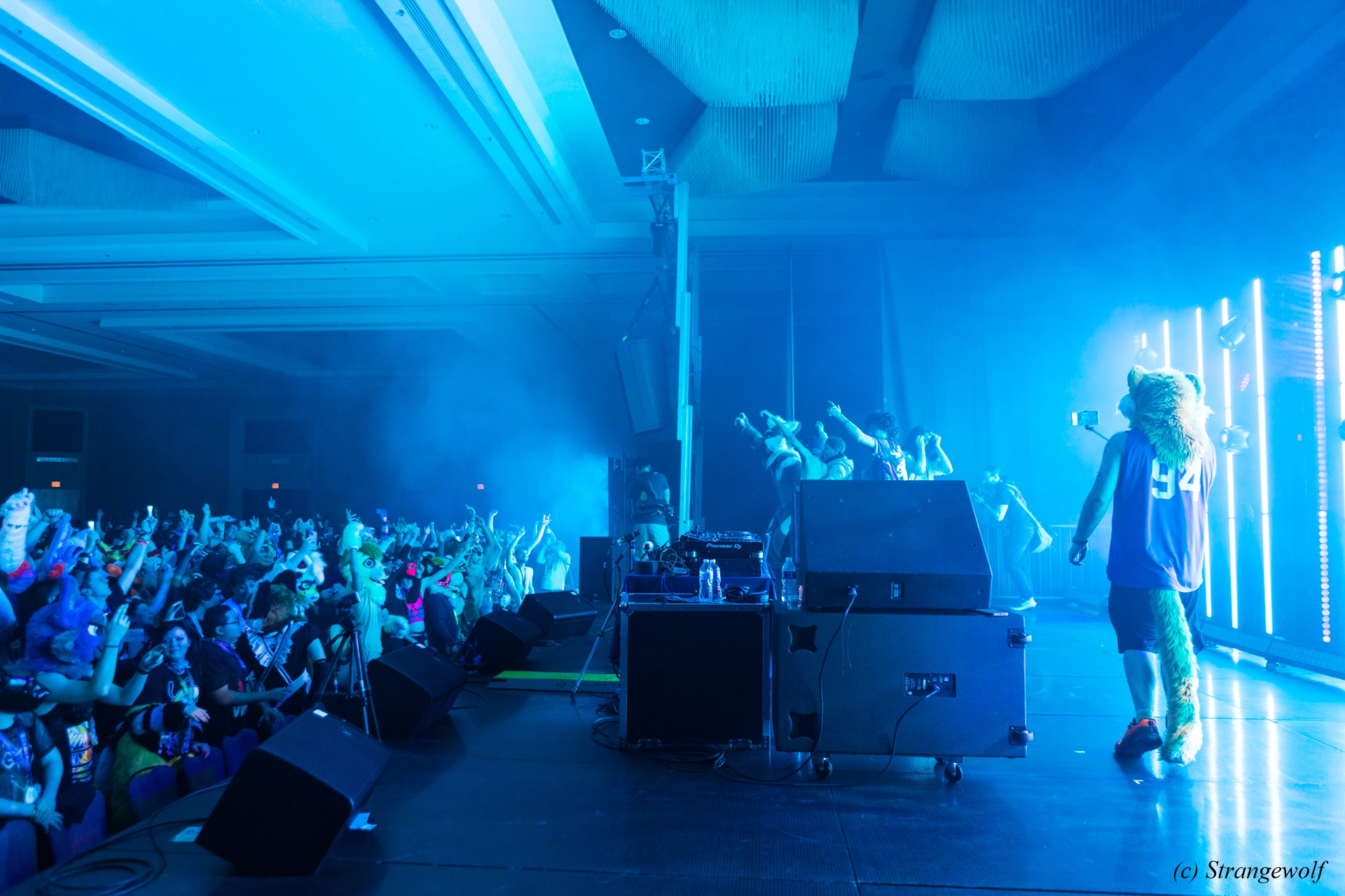 full image 1R3A5004-lr19t.jpg