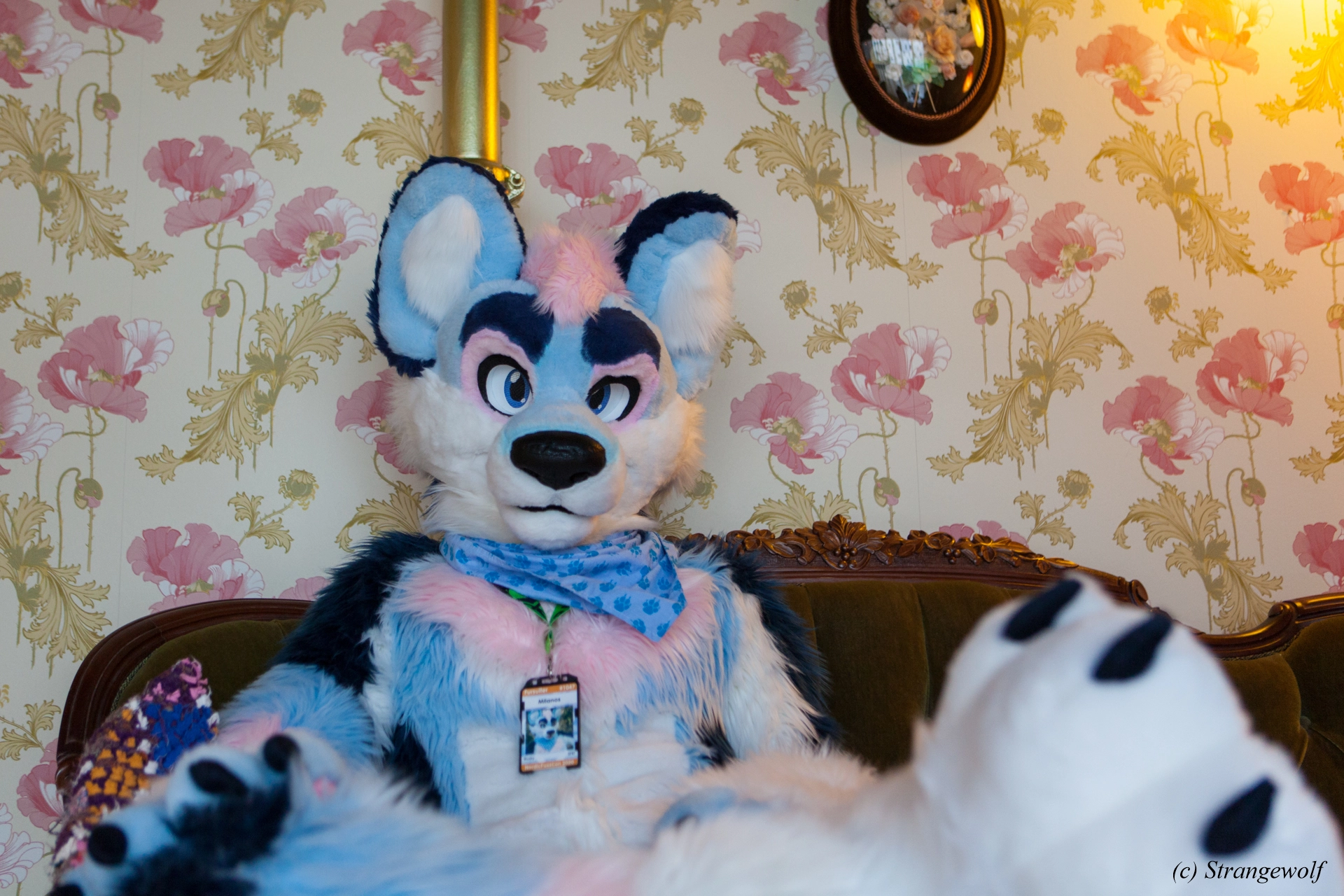 full image IMG_8481-lr19t.jpg