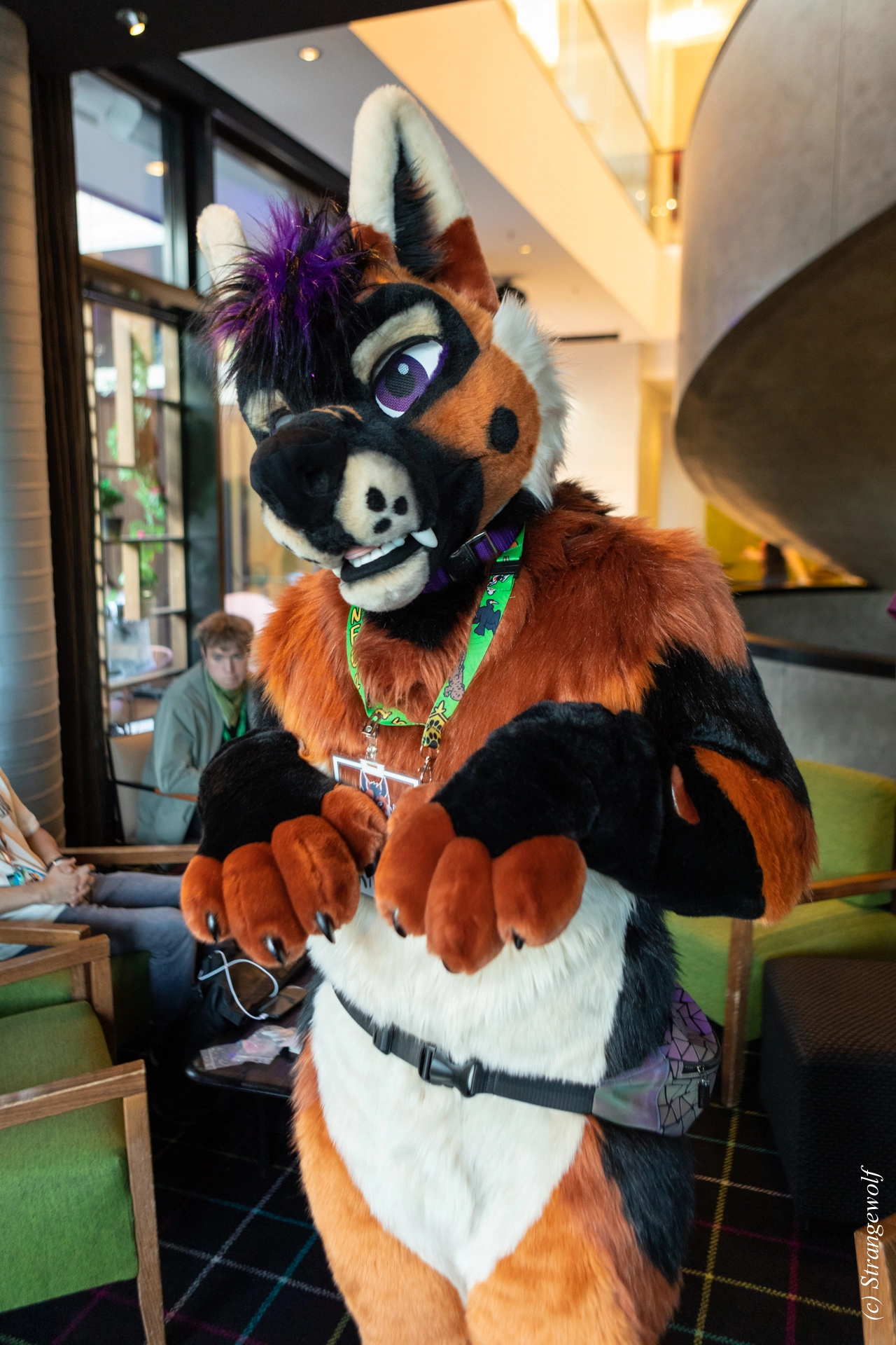 full image 1R3A9362-lr19t.jpg