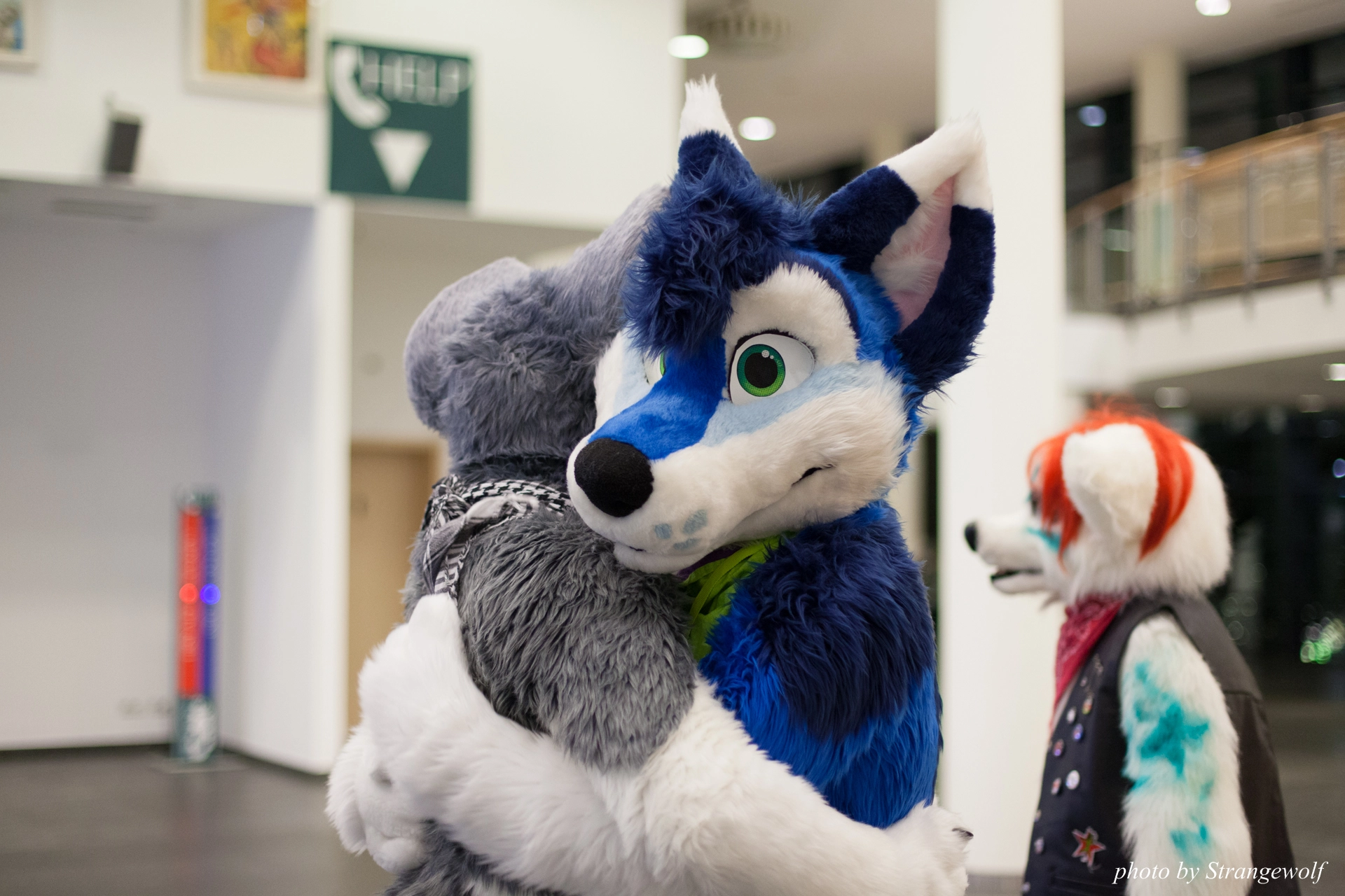 full image IMG_6344-lr19t.jpg