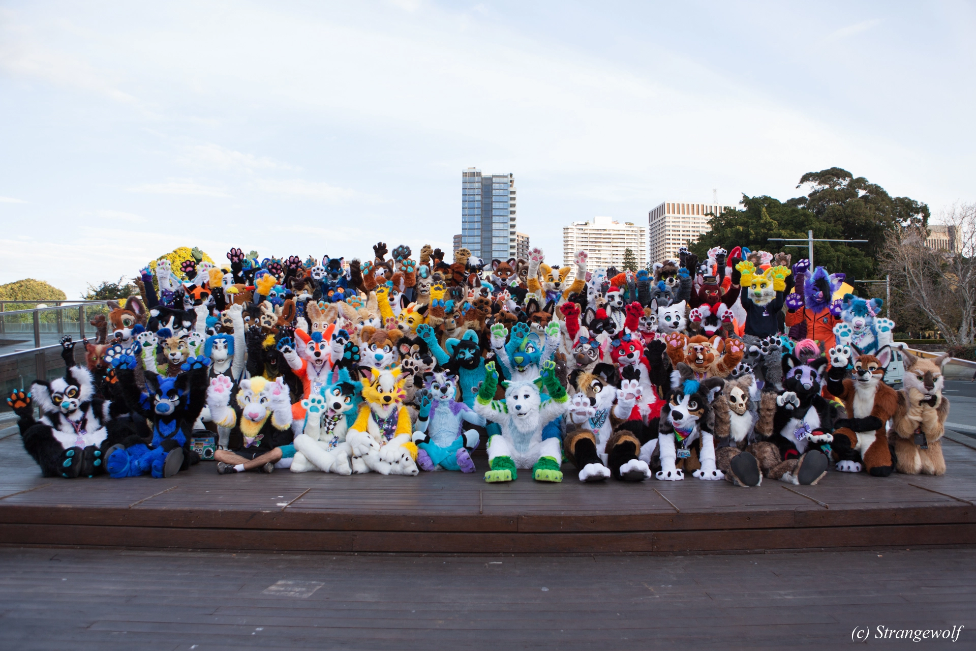 full image IMG_4619-lr19t.jpg