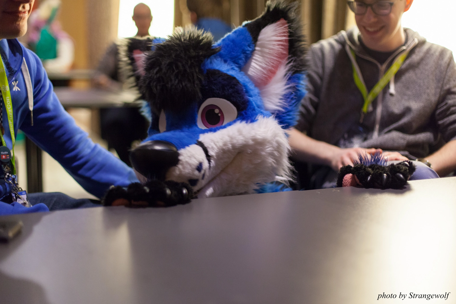 full image IMG_1579-lr16t.jpg