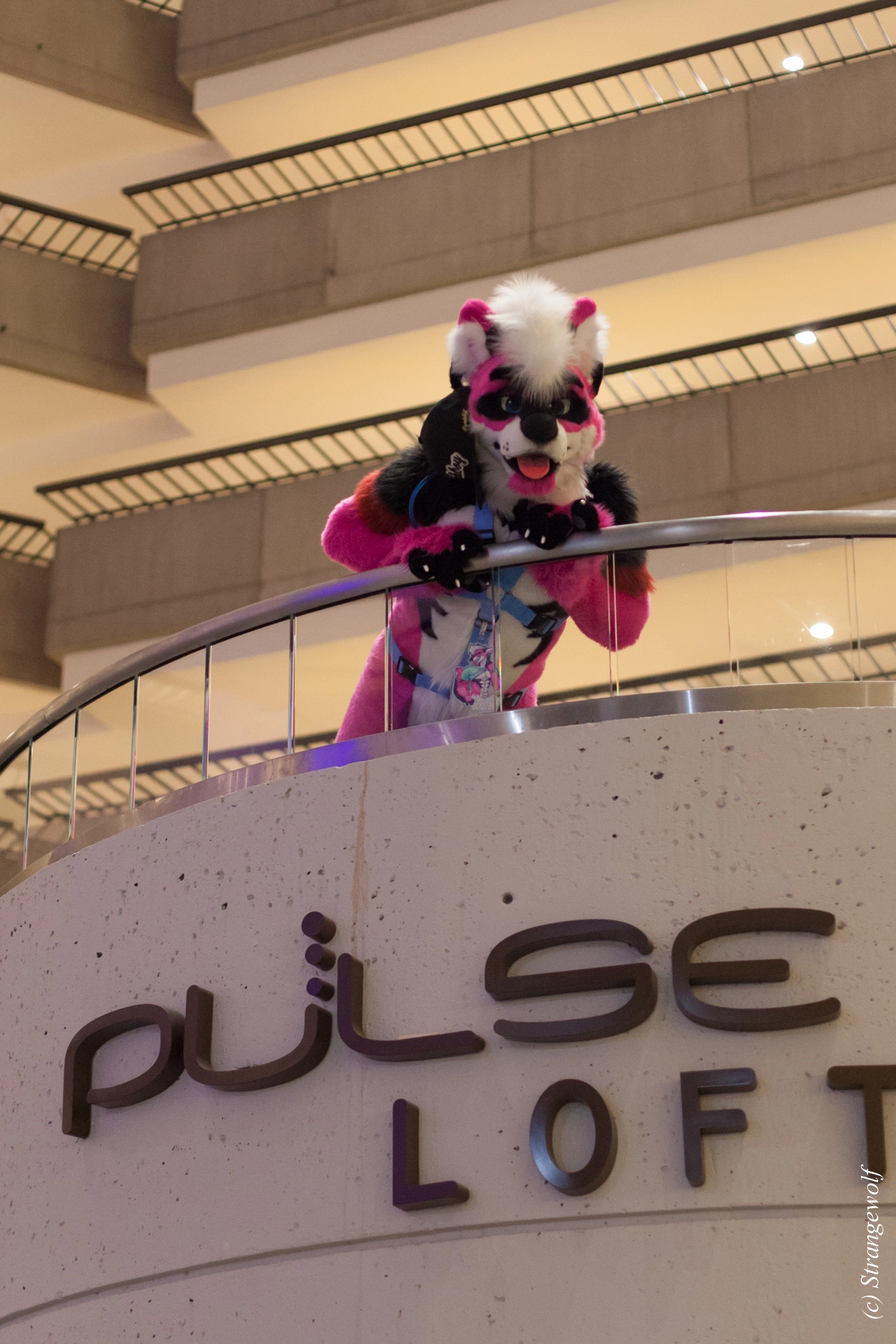 full image IMG_1379-lr19t.jpg