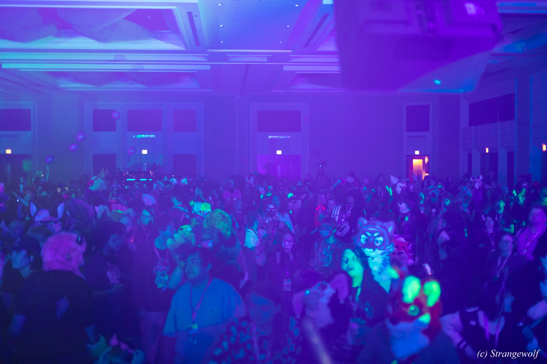 full image 1R3A0592-lr19t.jpg