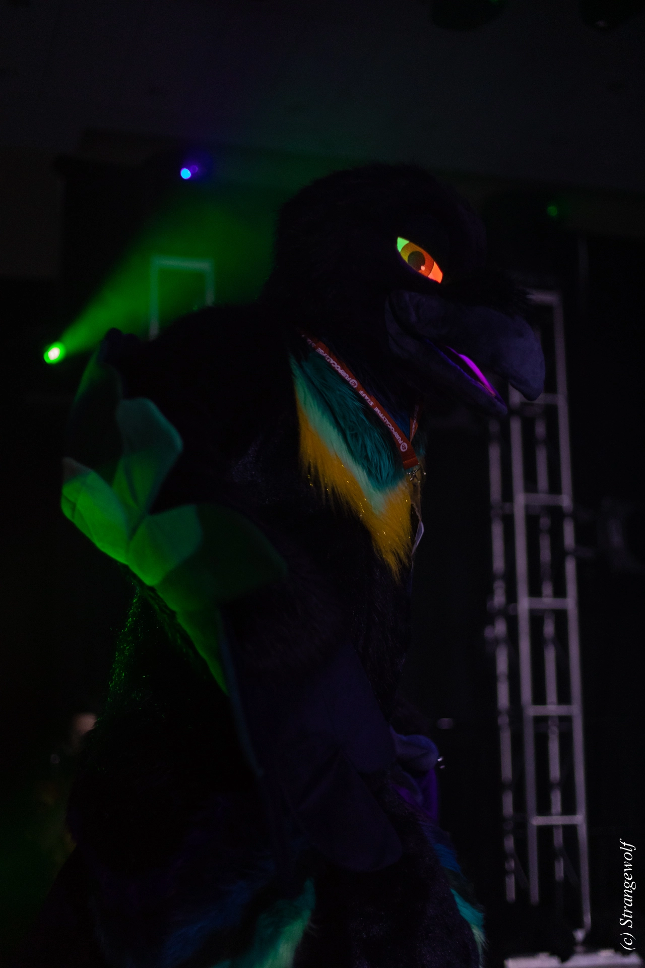 full image 1R3A0588-lr19t.jpg