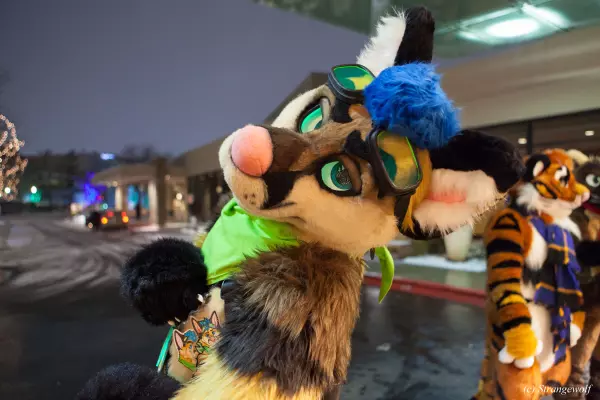 IMG_7032-lr.jpg of MFF/MFF2018/