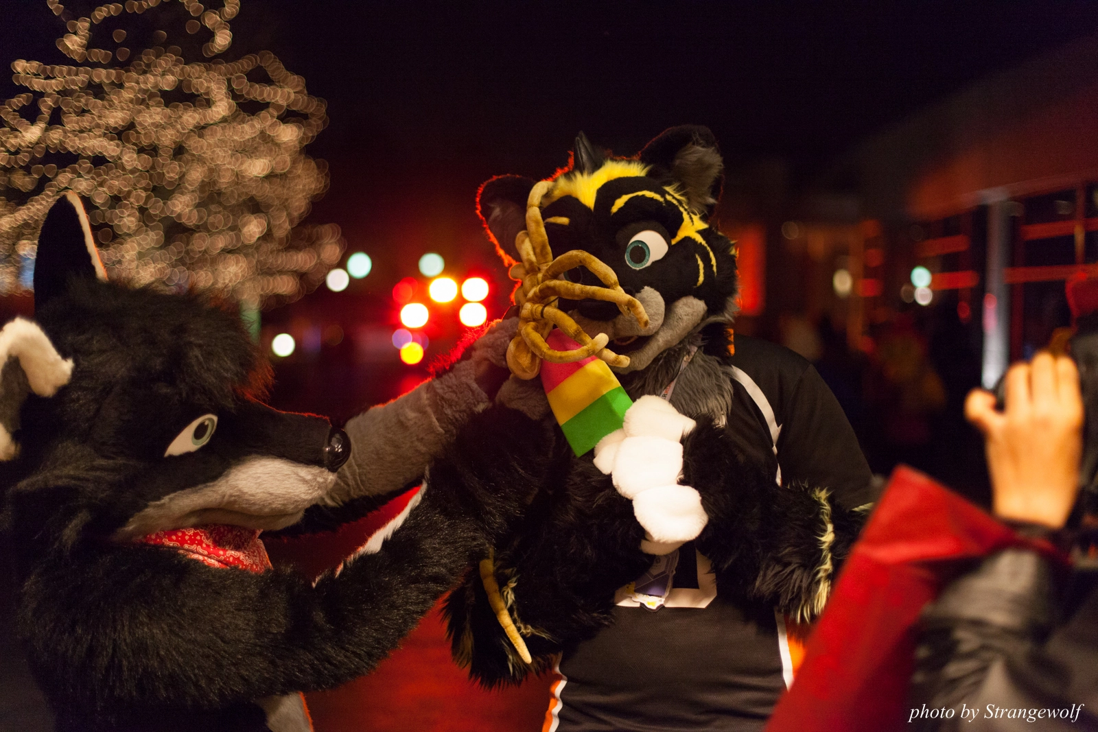 full image IMG_0798-lr16t.jpg