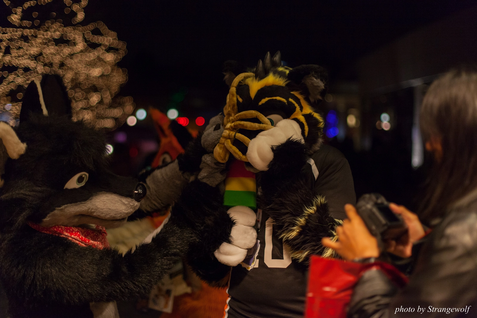 full image IMG_0795-lr16t.jpg