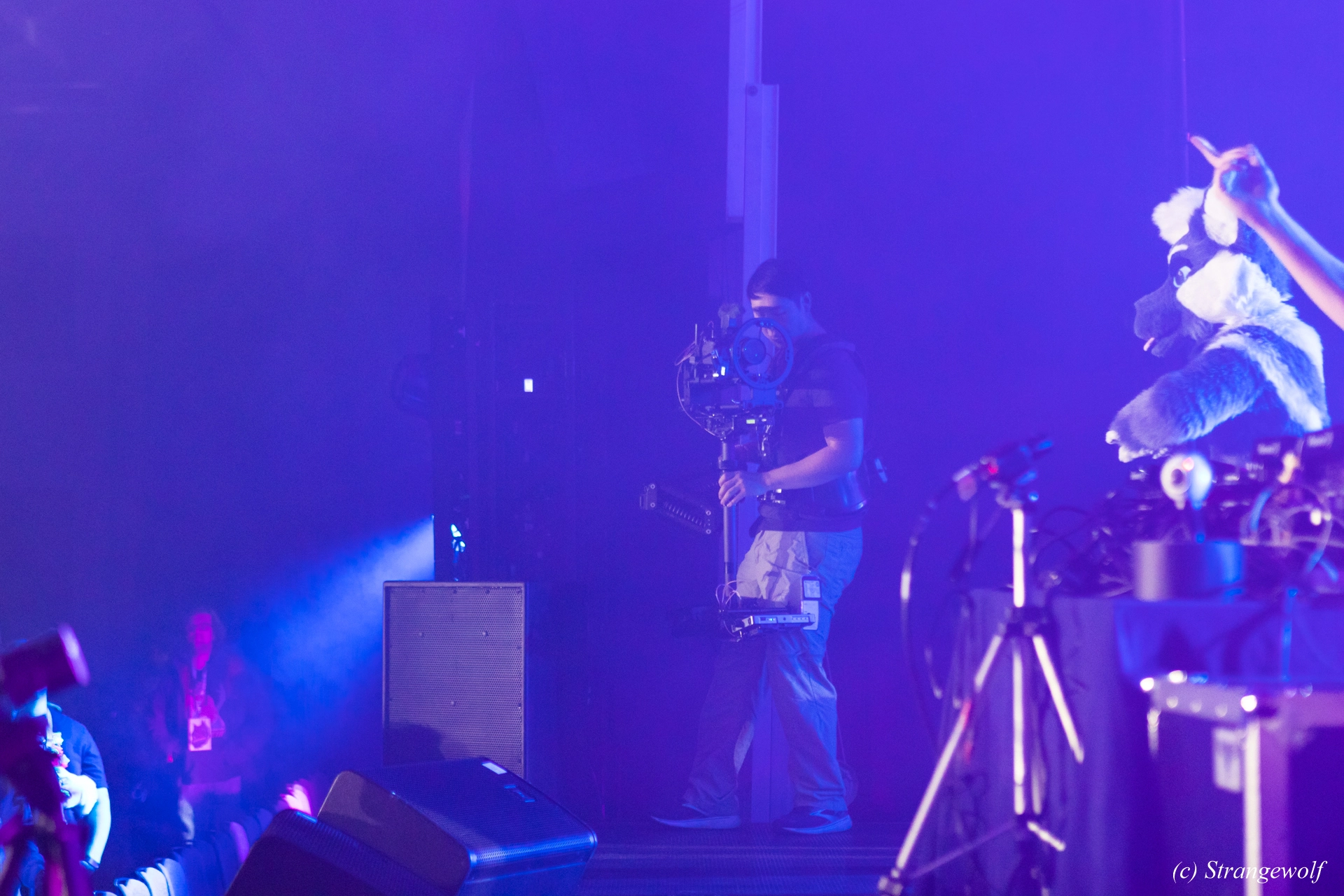 full image 1R3A4932-lr19t.jpg