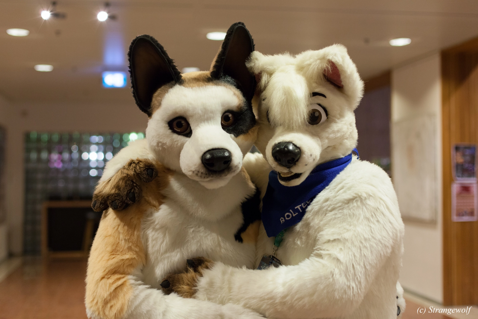 full image IMG_9180-lr19t.jpg