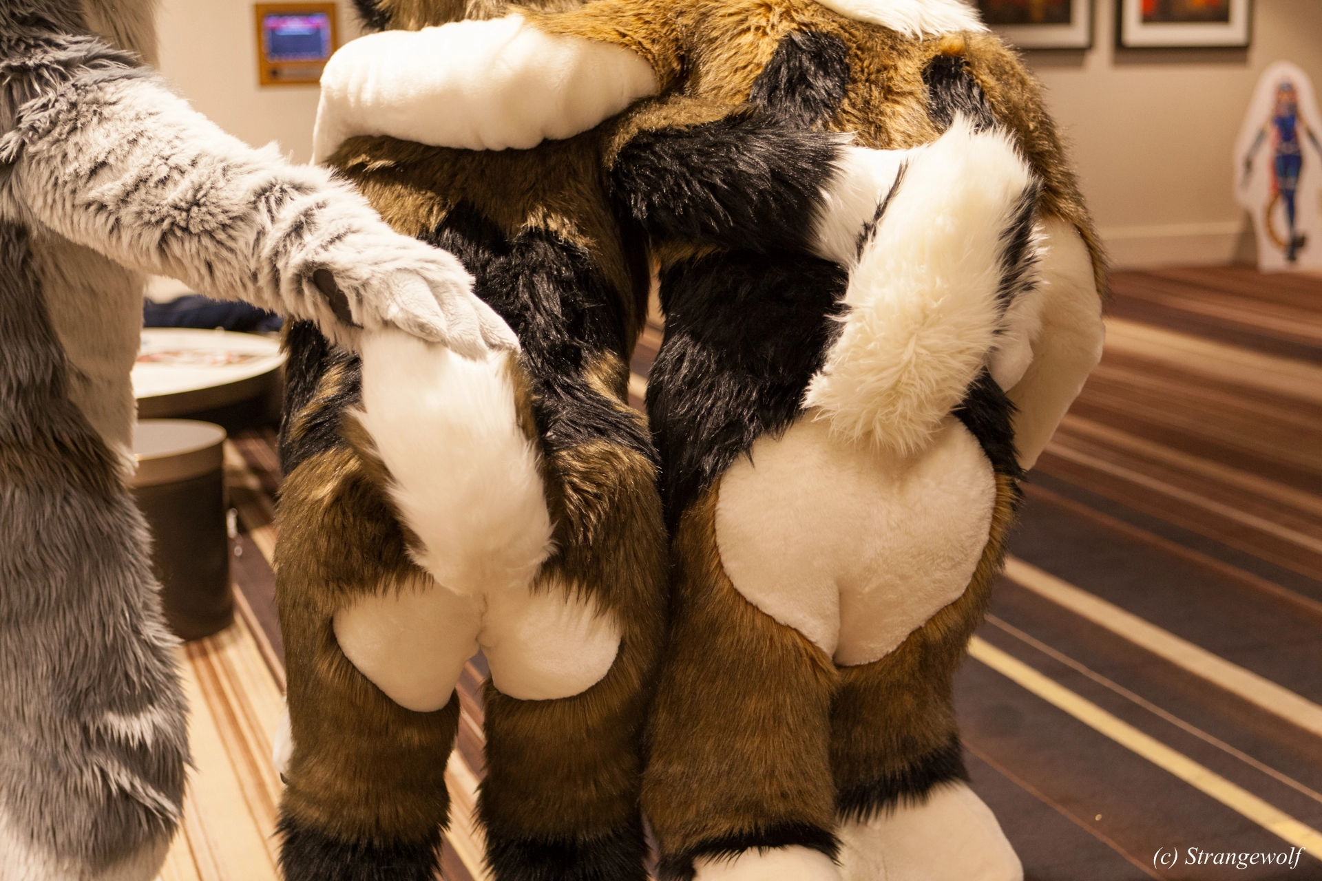 full image IMG_1276-lr19t.jpg