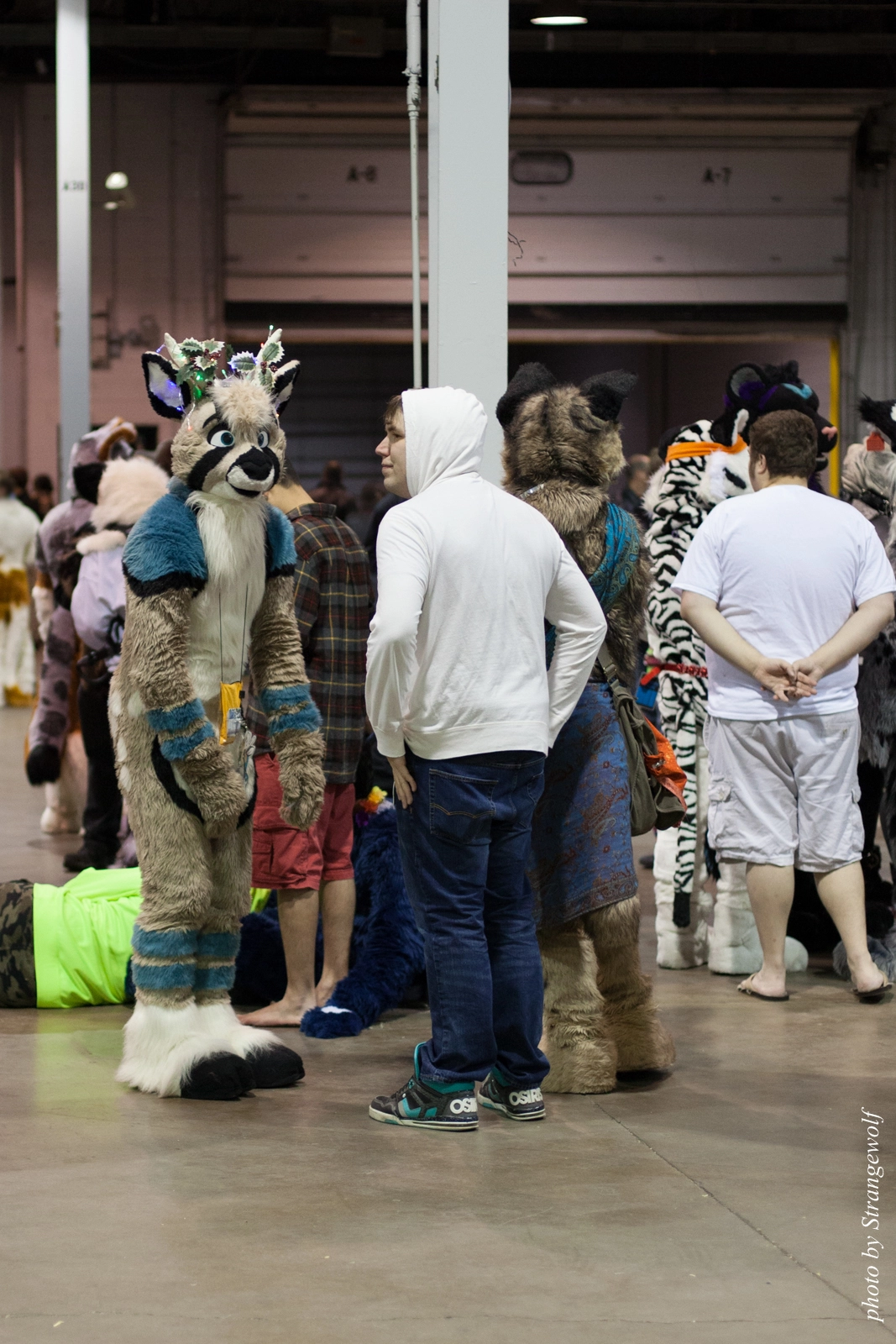 full image IMG_6482-lr16t.jpg