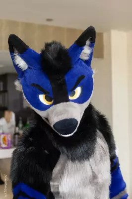 IMG_2679-lr19t.jpg of BLFC/2019/Fotoshoot-Slate/