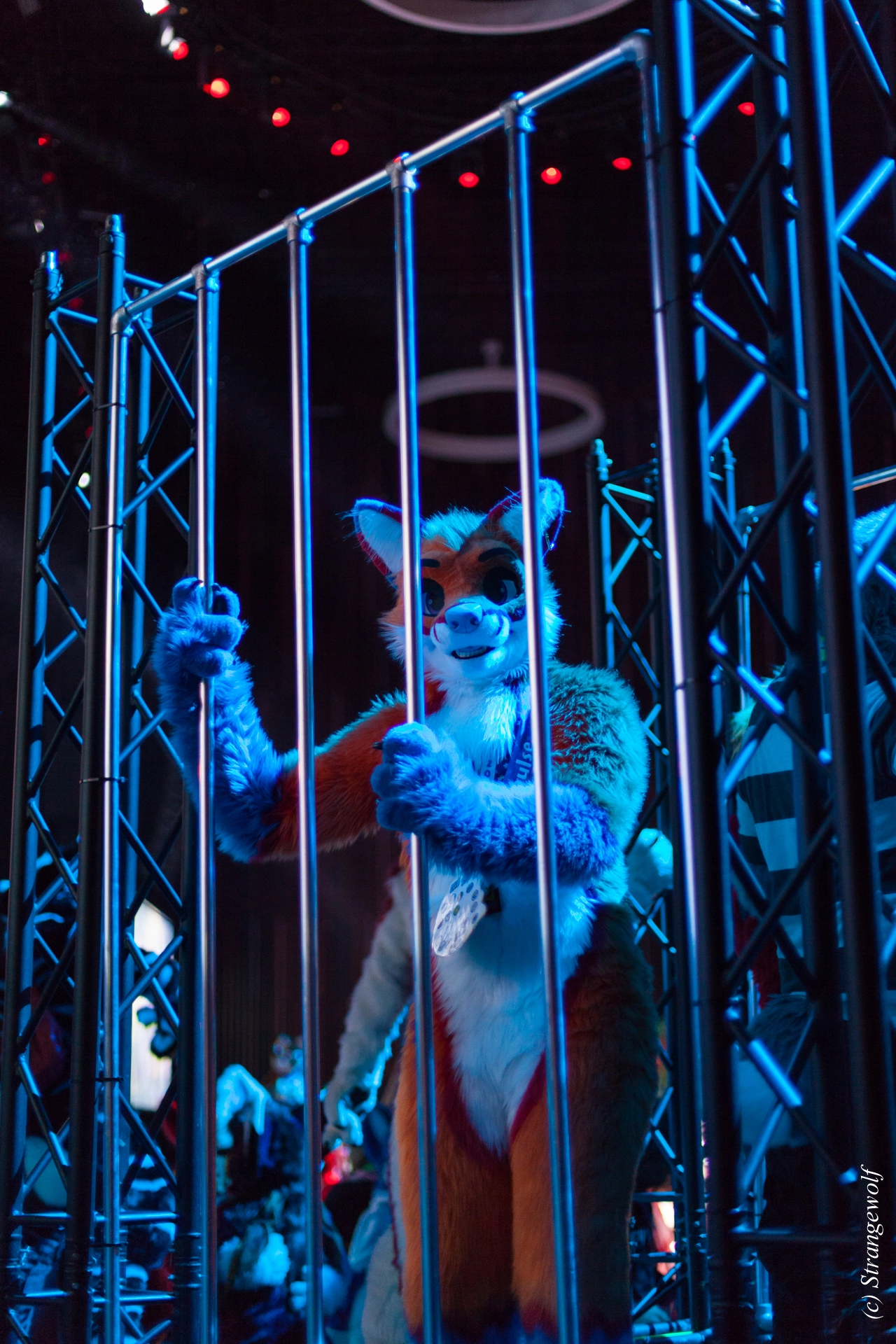 full image IMG_9285-lr19t.jpg