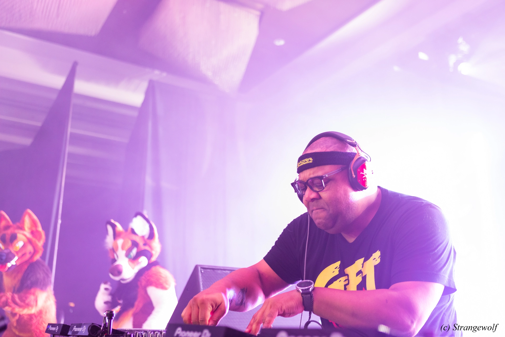 full image 1R3A5219-lr19t.jpg