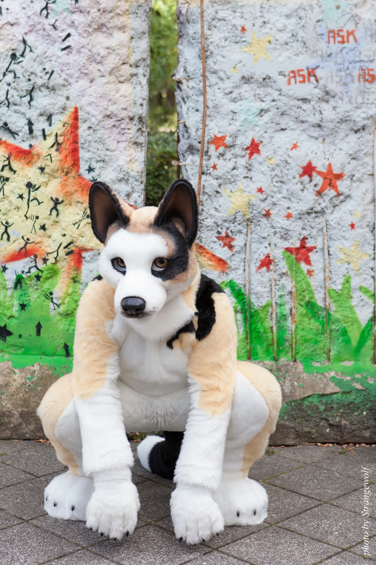 full image IMG_7131-lr19t.jpg