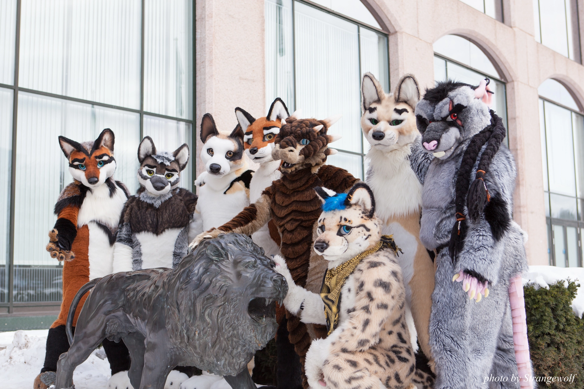 full image IMG_0289-lr19t.jpg